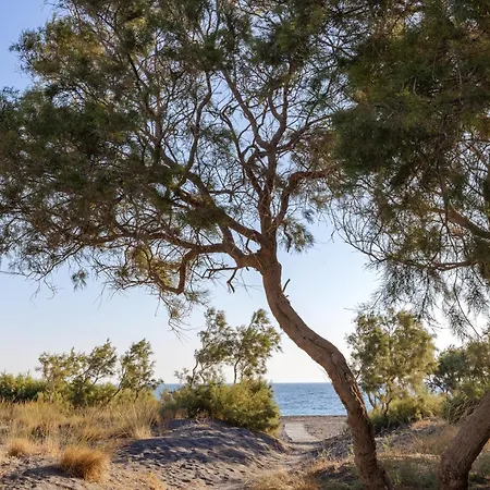 Scorpios Santorini 4*