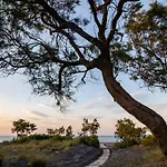 Scorpios Santorini 4* モノリソス