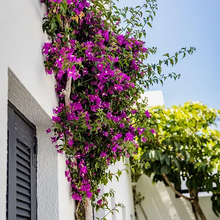 Scorpios Santorini 4*