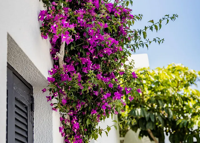 Scorpios Santorini 4*